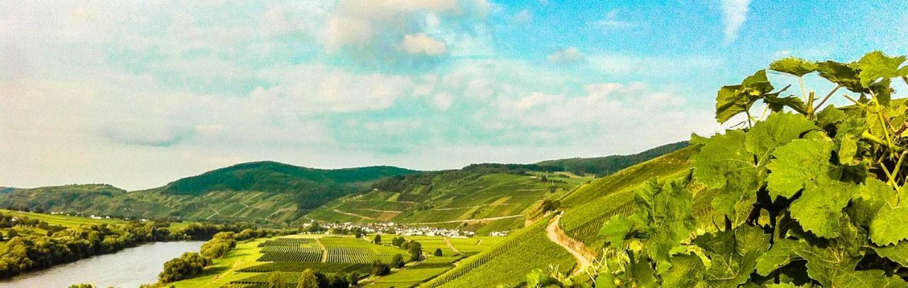 Gaestehaus Weingut Meierer Kesten Exterior photo